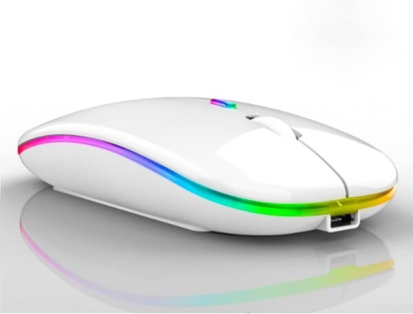 Mouse Sem Fio com Bluetooth Recarregável Óptico Wireless Silencioso Led Rgb Colorido Ergonômico Usb 2.4 Ghz para Notebook Computador Pc Desktop (BRANCO)